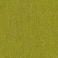Kiwi – S8020