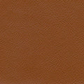 Ginger – S3102