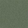 Beetle – S7107