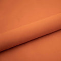 Rust – S5213